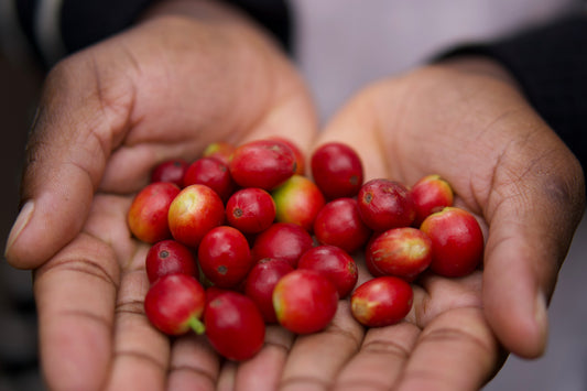 June 6, 2026 | Taste the 254: A Guided Kenyan Coffee Tasting Experience