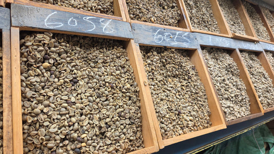 Look out for updates from Kenya