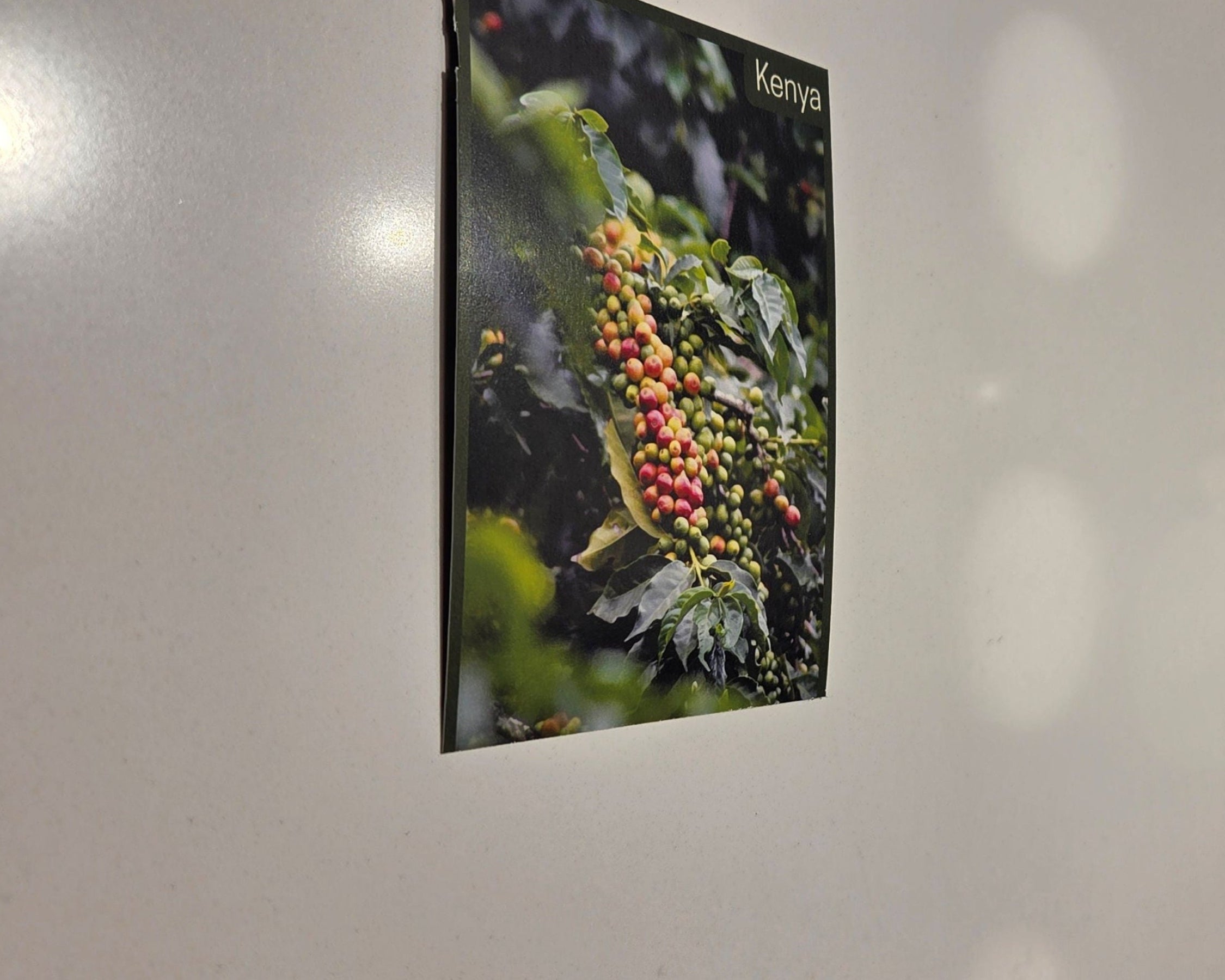 March 21, 2026 | Taste the 254: Kenyan Coffee Tasting Experience