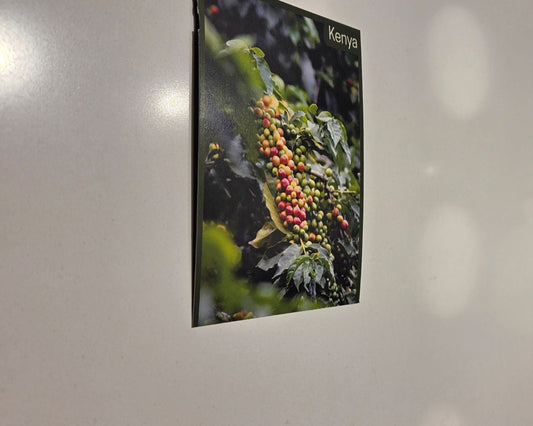 March 21, 2026 | Taste the 254: Kenyan Coffee Tasting Experience