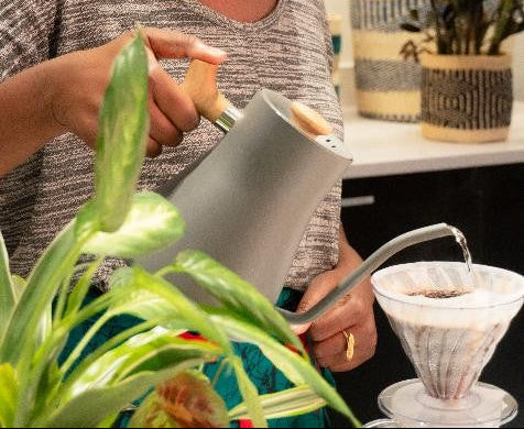 How to Brew Your Kenyan Coffee