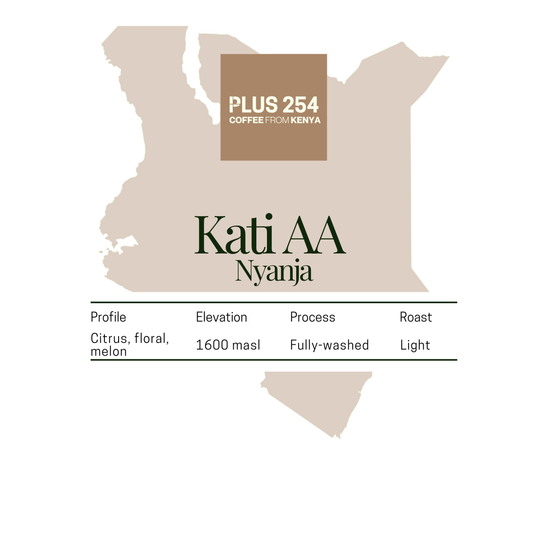 Kati AA