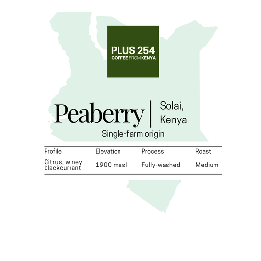 A product graphic for Peaberry coffee from Kenya, showing a pale green map silhouette of Kenya, a dark green square with the text 'PLUS 254 COFFEE FROM KENYA,' from 'Solai, Kenya,' and a small spec table below with profile, elevation, process, and roast.
