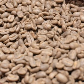 Close-up of hands holding a handful of green coffee beans.